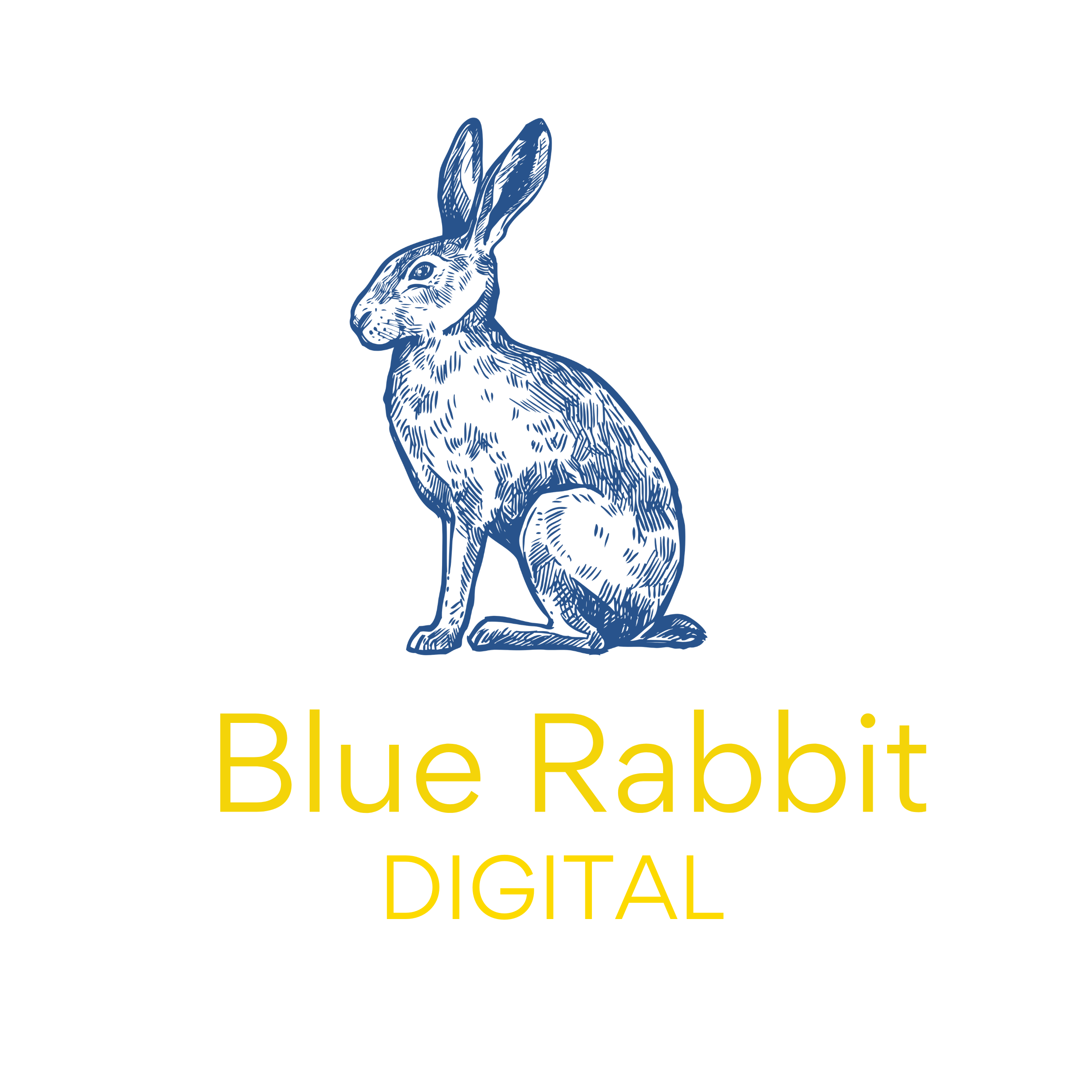 Blue Rabbit Digital